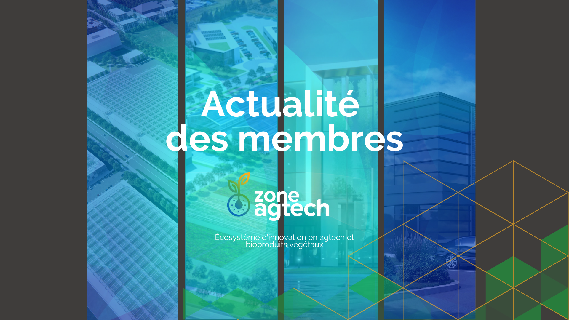 Actualité des membres